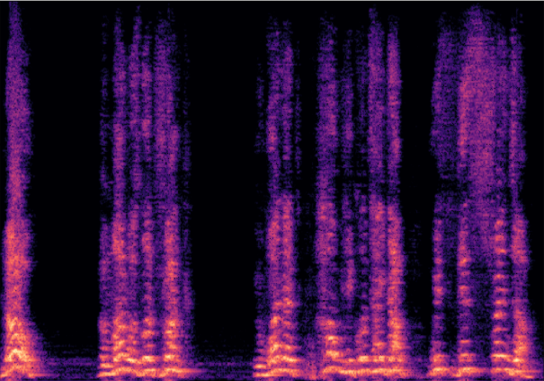 VTS+VE Spectrogram 1