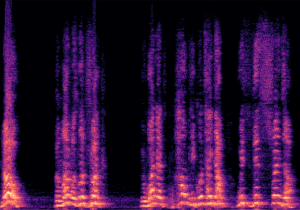 VTS Spectrogram 1