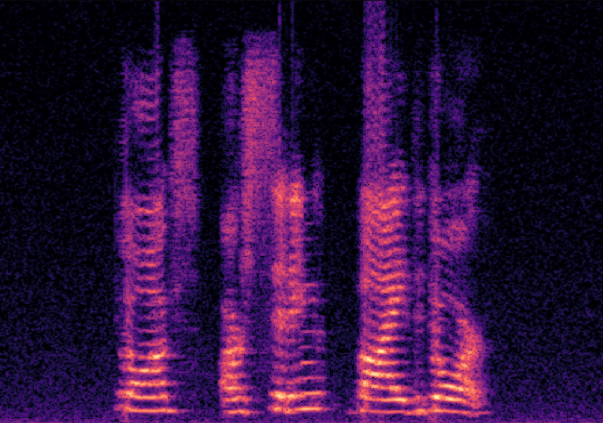 MATCHA-TTS Spectrogram 2