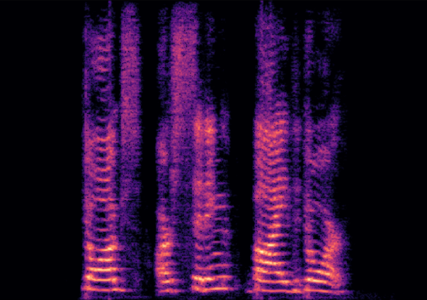 VTS+VE Spectrogram 2
