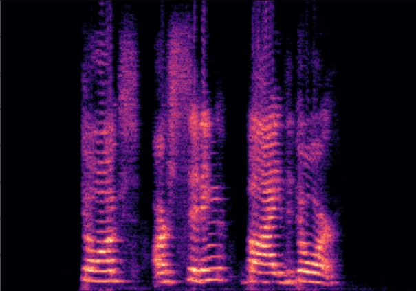VTS Spectrogram 2