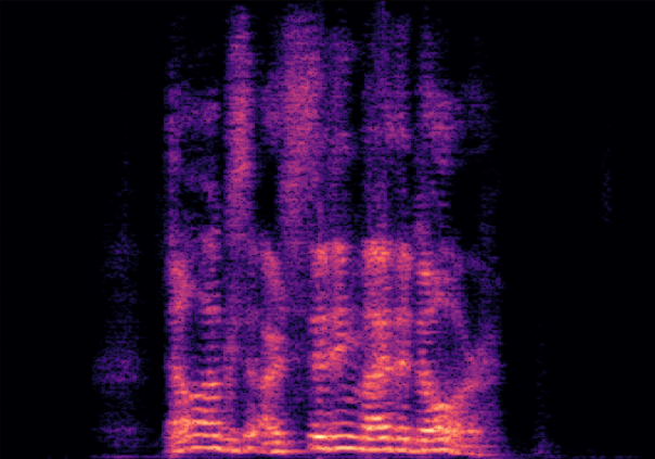 VTS+VE Spectrogram 4